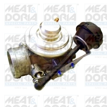EGR Valve